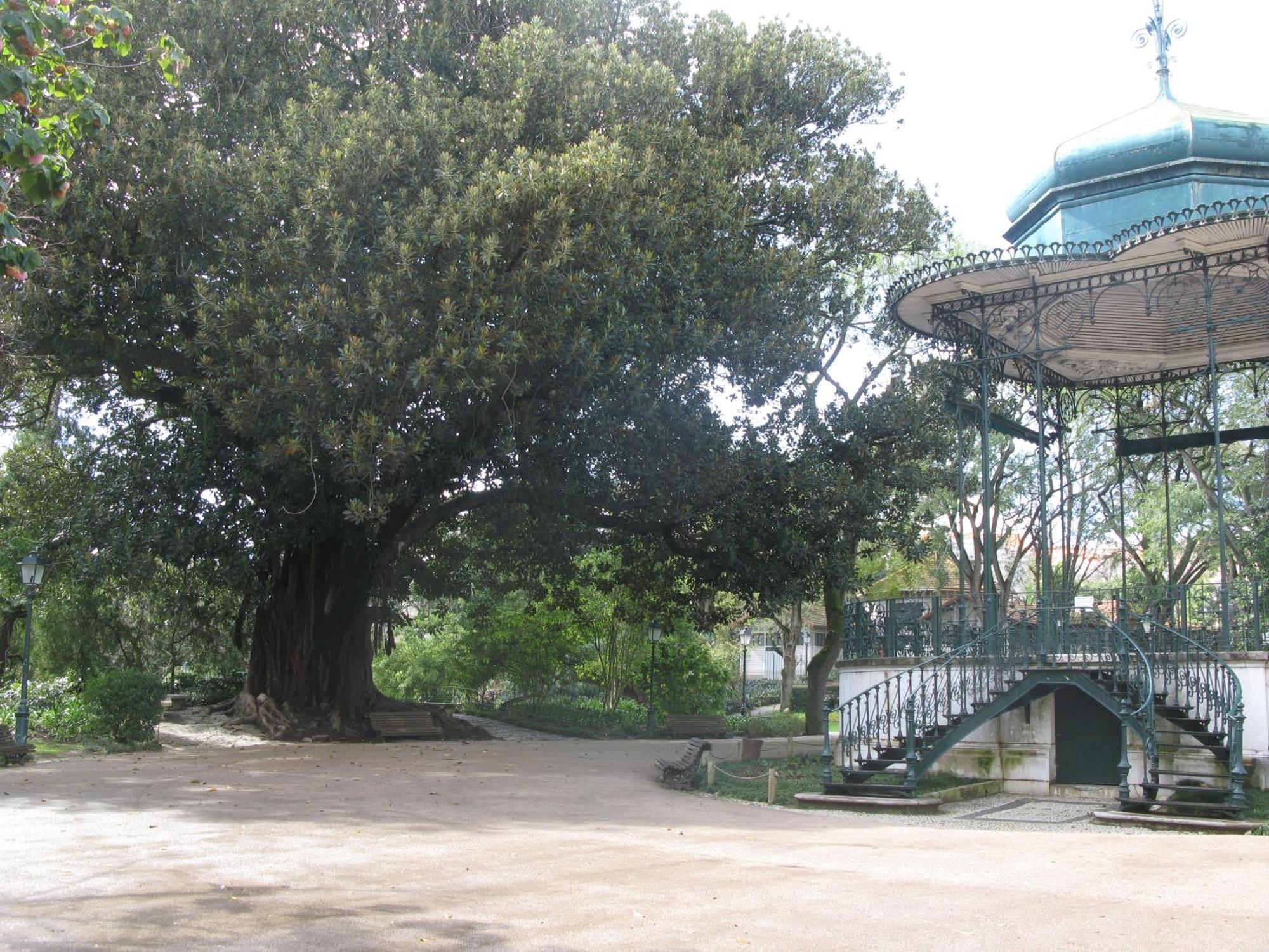Lisbonne Estrela